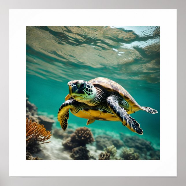 Poster de la tortue sous-marine (Devant)