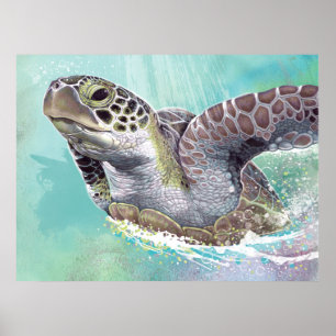 Poster de la tortue verte