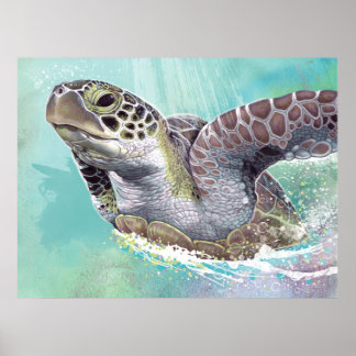 Poster de la tortue verte