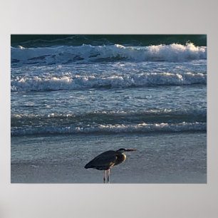 Poster de la vague de plage