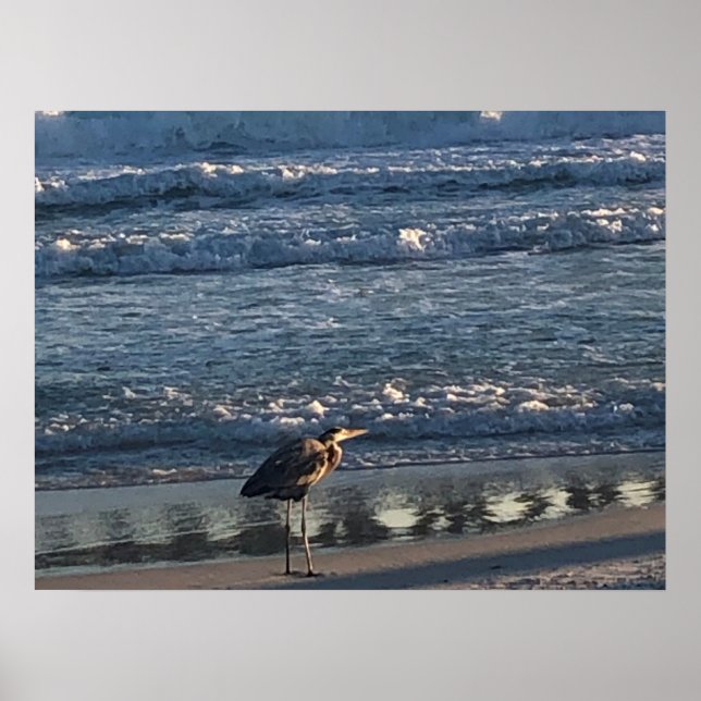 Poster de la vague de plage (Devant)