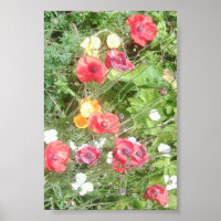 Poster de la valeur des fleurs de pommes de prairi