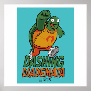 Poster de la version de la diademata de ROS Dashin