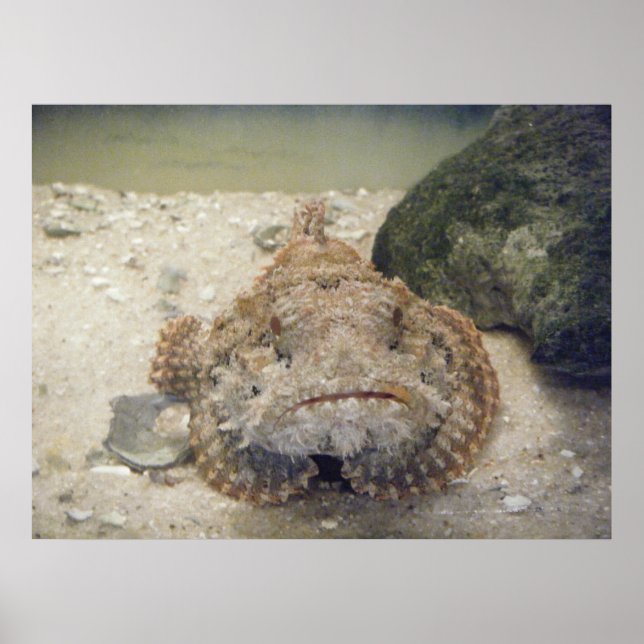 Poster de la Vie maritime de l'Alabama #2 (Devant)