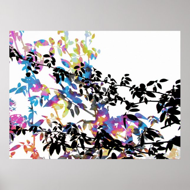 Poster de la vigne rose (Devant)