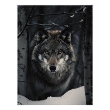 Poster de la vue du loup d'hiver