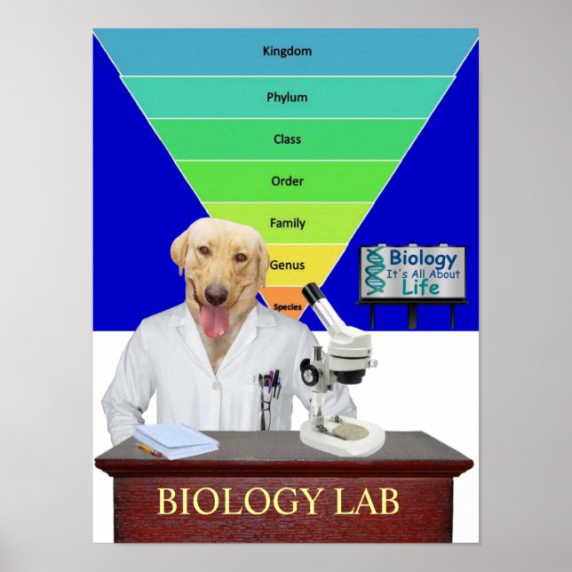 Poster de laboratoire de biologie drôle pour ensei (Devant)