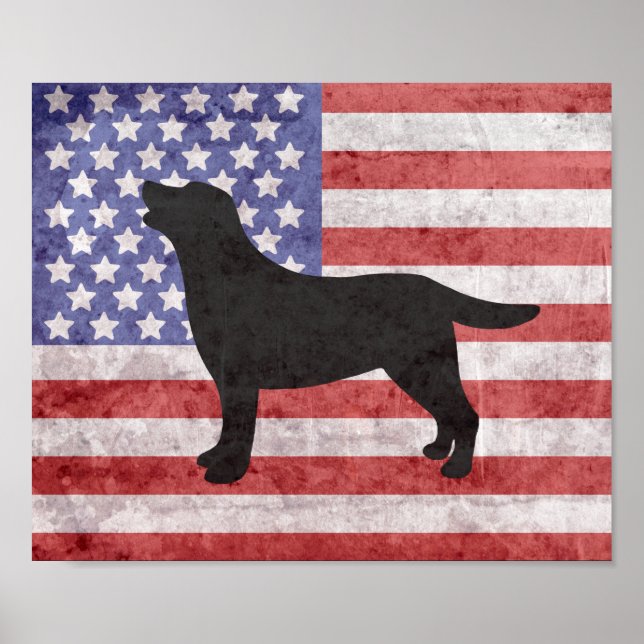 Poster de l'affiche 4 juillet Patriotic Labrador (Devant)