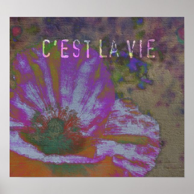 Poster de l'affiche C'est La Vie Poppy (Devant)