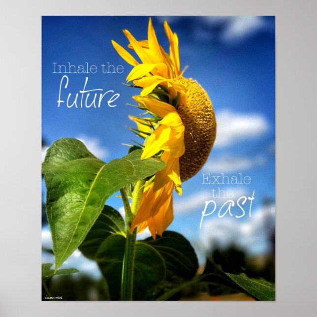 Poster de l'affiche Laisser aller et regarder vers (Devant)