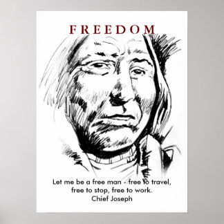 Poster de l'affiche Motivation du chef indien