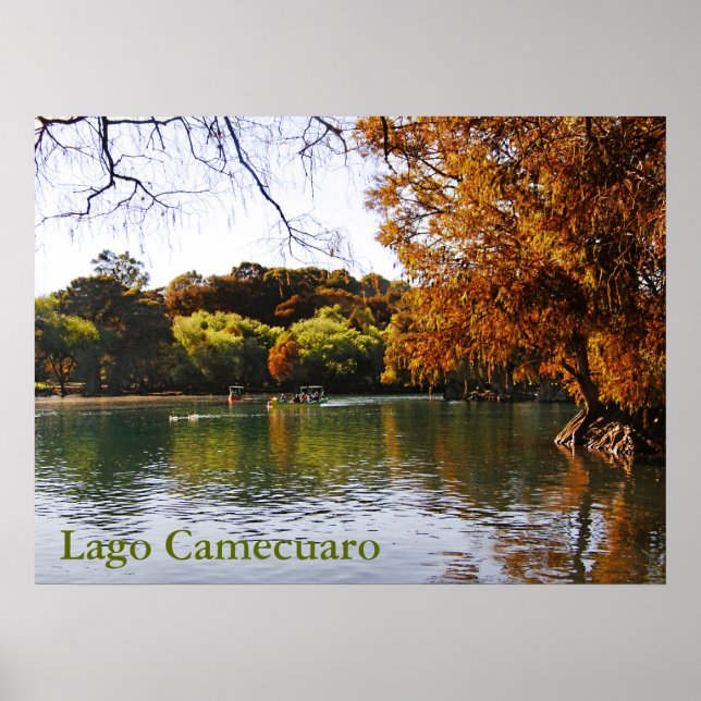 Poster de Lago Camecuaro (Devant)