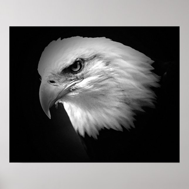Poster de l'aigle à tête blanche BW American Impri (Devant)