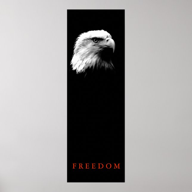Poster de l'aigle à tête blanche pour motifs verti (Devant)