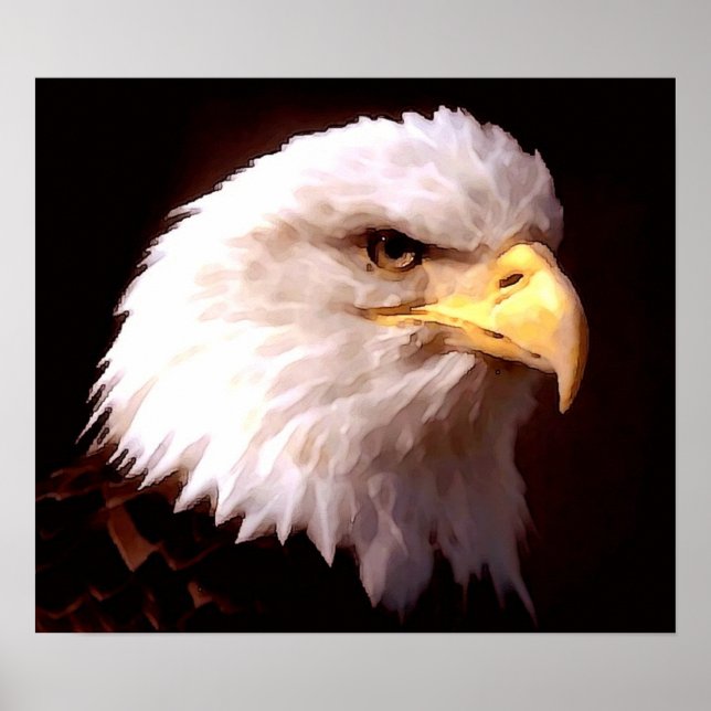 Poster de l'aigle américain Bald Eagle (Devant)