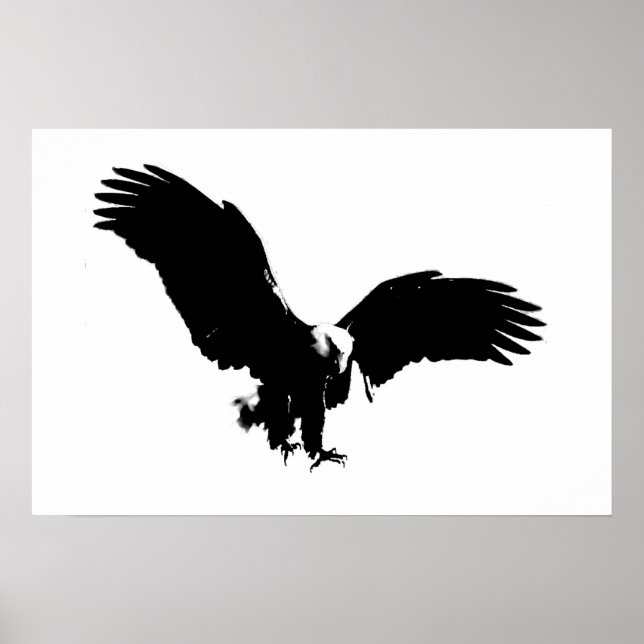 Poster de l'aigle d'Amérique Bald Imprimer Posters (Devant)