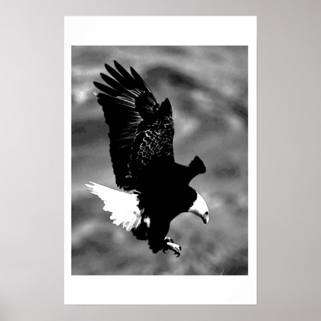 Poster de l'aigle d'Amérique Bald Imprimer Posters (Devant)