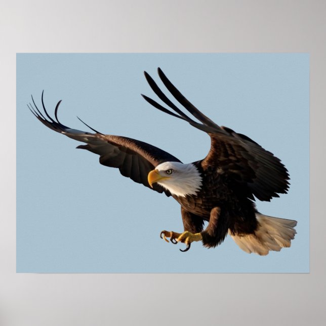 Poster de l'aigle en marche vers le bas (Devant)