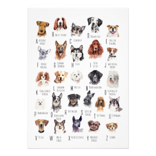 Poster de l'alphabet de chien