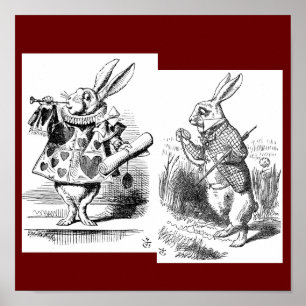 Poster de lapin