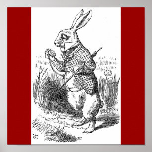 Poster de lapin