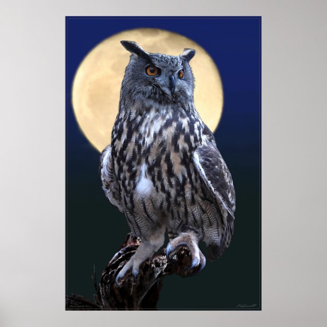 Poster de l'aquarelle Eagle Owl -24x36 -ou plus pe (Devant)