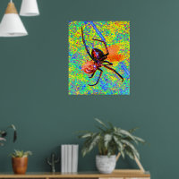 Poster de l'araignée noire