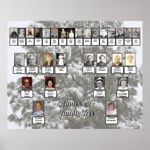 Poster de l'arbre généalogique Snowy À feuillage p