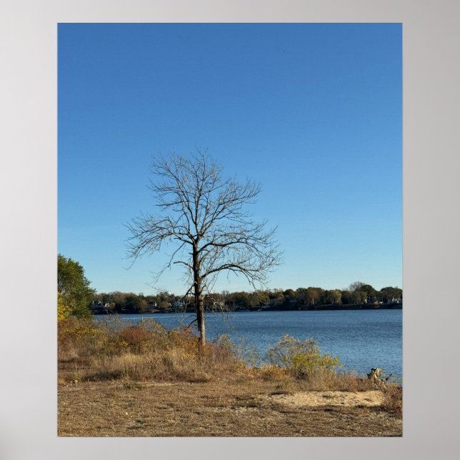 Poster de l'arbre près de la rivière (Devant)