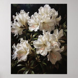 Poster de l'Art blanc Azalea Fleurs