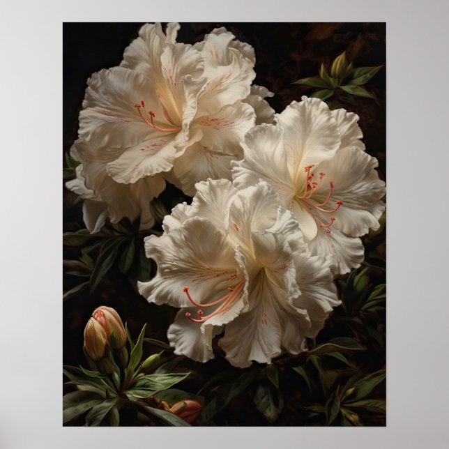 Poster de l'Art blanc Azalea Fleurs (Devant)