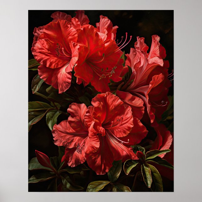 Poster de l'art des fleurs d'Azalea rouge (Devant)