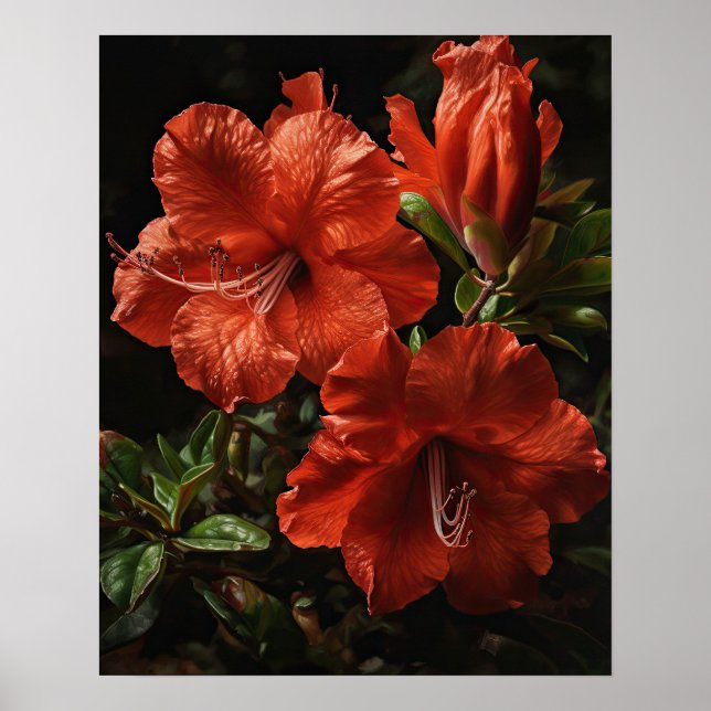 Poster de l'art des fleurs d'Azalea rouge (Devant)