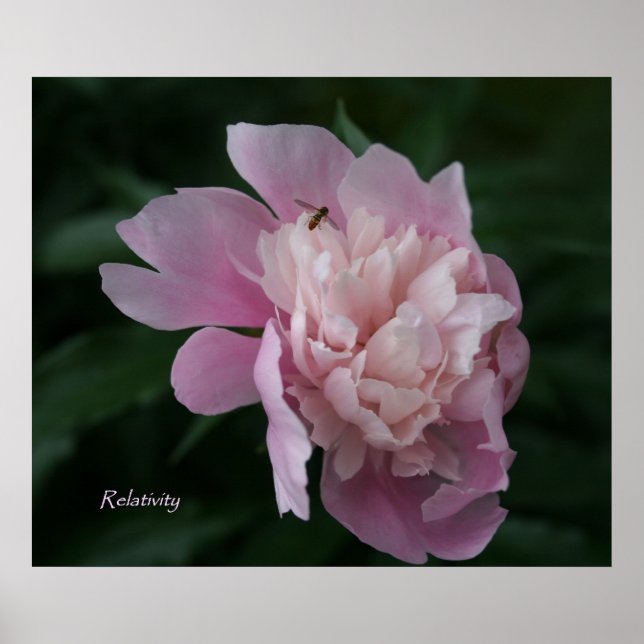 Poster de l'Art Framical Relativité (Devant)