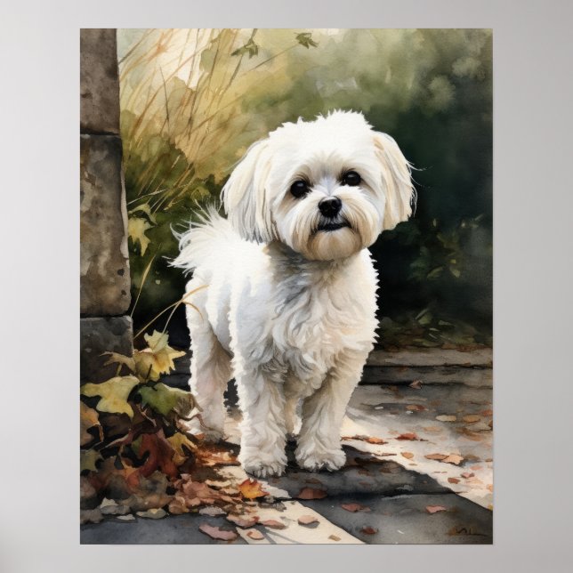 Poster de l'art mignon de chien maltais (Devant)