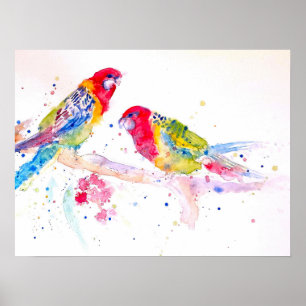 Poster de l'artiste australienne Rosella Parrot Wa