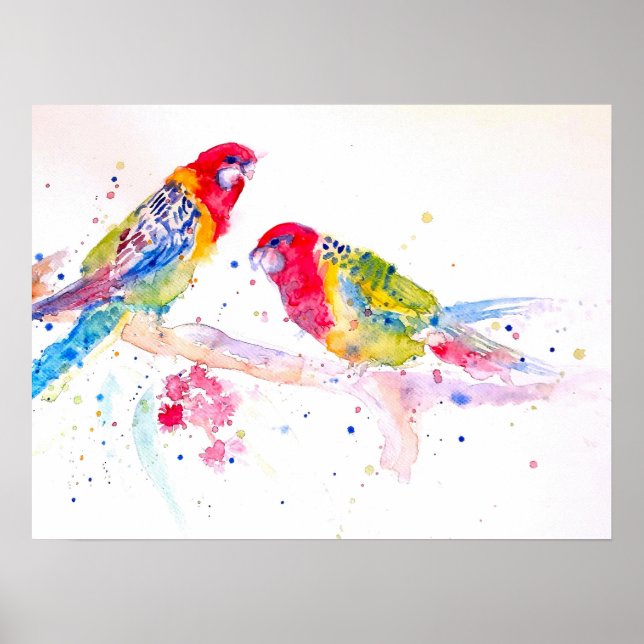 Poster de l'artiste australienne Rosella Parrot Wa (Devant)