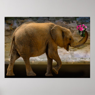 Poster de l'éléphant de la Jungle tenant des fleur