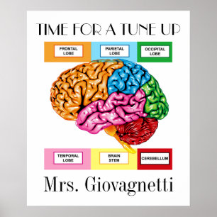 Poster de l'enseignant Humour du cerveau