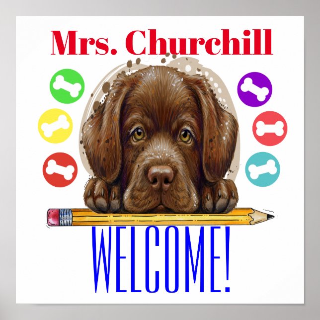 Poster de l'enseignant - SRF (Devant)