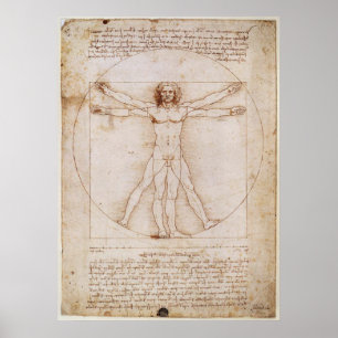 Poster de Léonard de Vinci Vitruvian