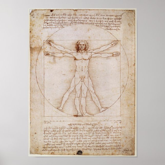 Poster de Leonardo da Vinci Vitruvian (Devant)