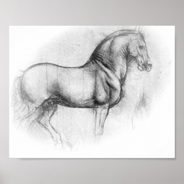 Poster de Leonardo DaVinci Horse (Devant)