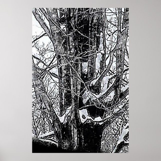 Poster de l'érable neigeux Le MUSÉE Zazzle Cadeaux (Devant)