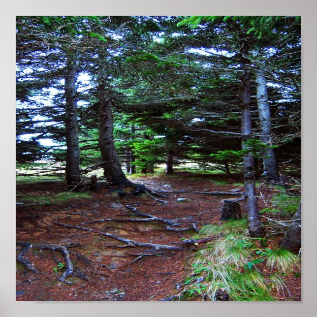 Poster de l'escalier de la nature (Devant)