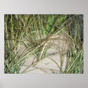 Poster de l'Estuarium #2