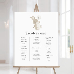 Poster de l'étape du ballon de lapin