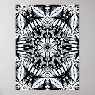 Poster de l'étoile ShineSilva