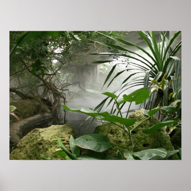 Poster de l'exposition Zoo Rainforest (Devant)
