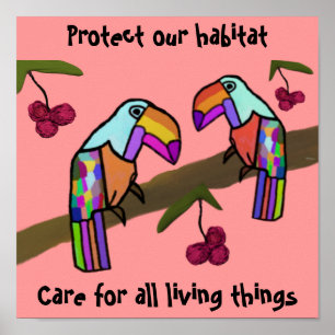 Poster de l'habitat de Toucans